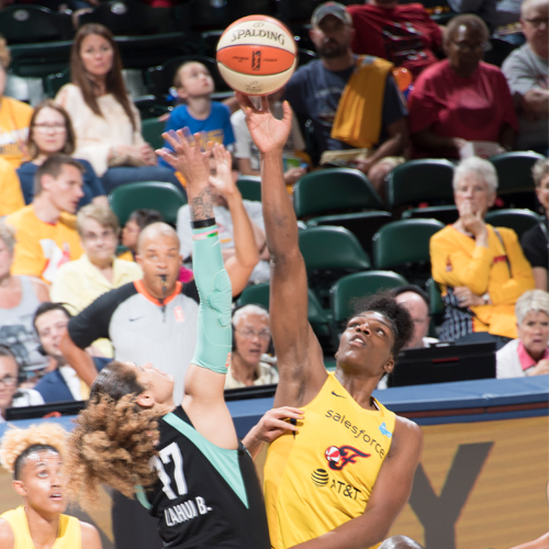 Indiana Fever vs. New York Liberty - Game Highlights